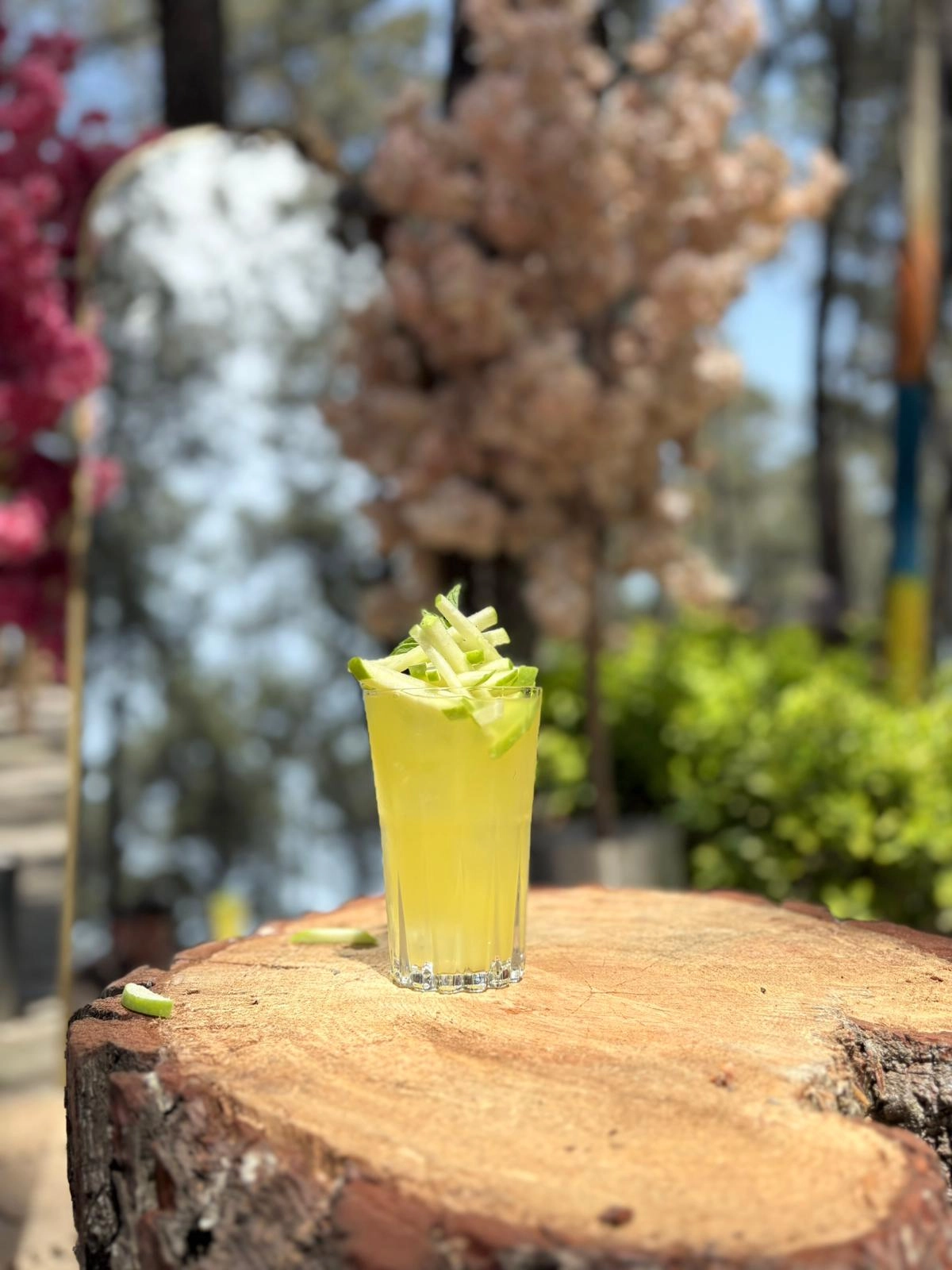 Özel El Yapımı Limonata
